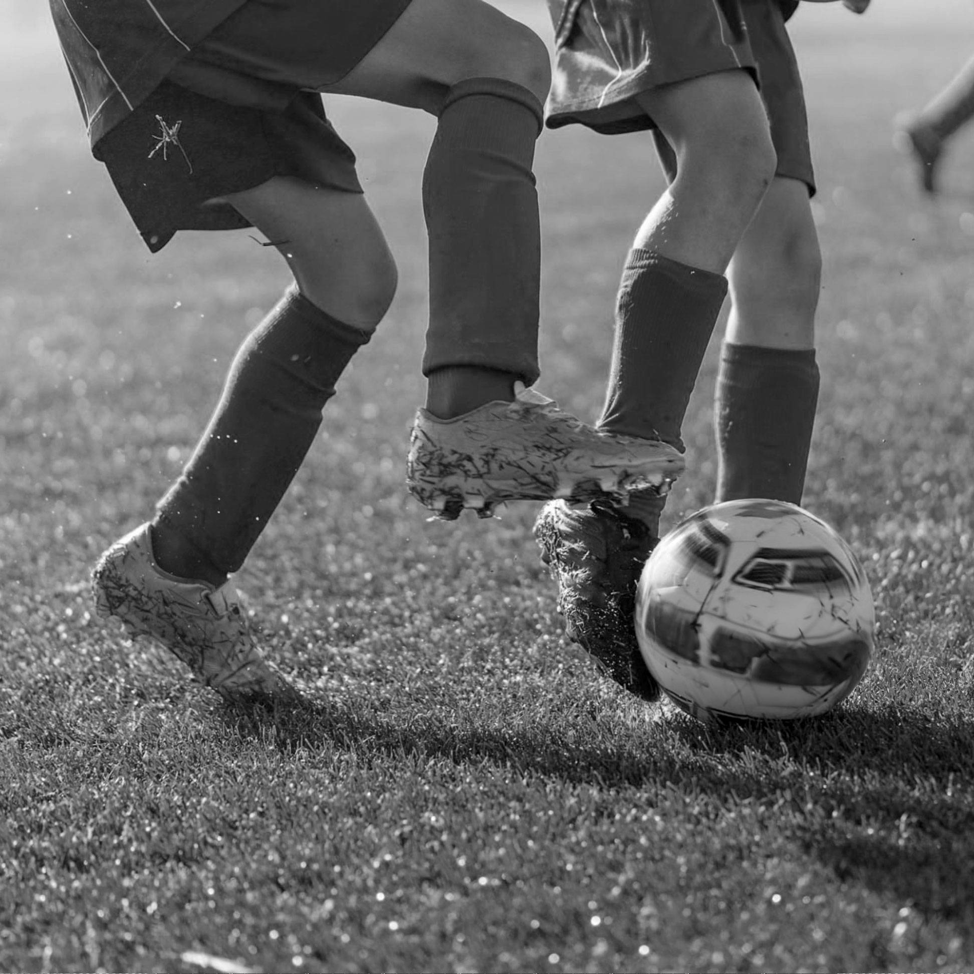 Ibierre-lavorazione-metallo-arredamento-responsabilita-sociale-2